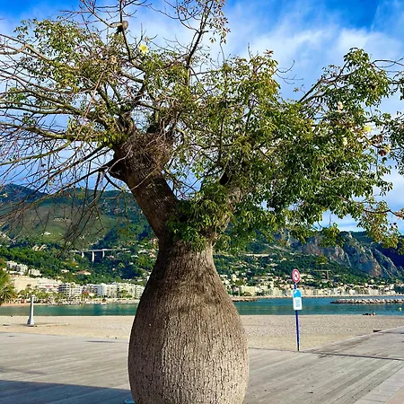 Appartamento Petit Vue