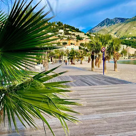 Petit Vue مينتون