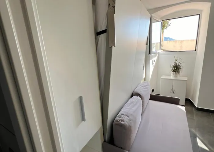 Petit Vue